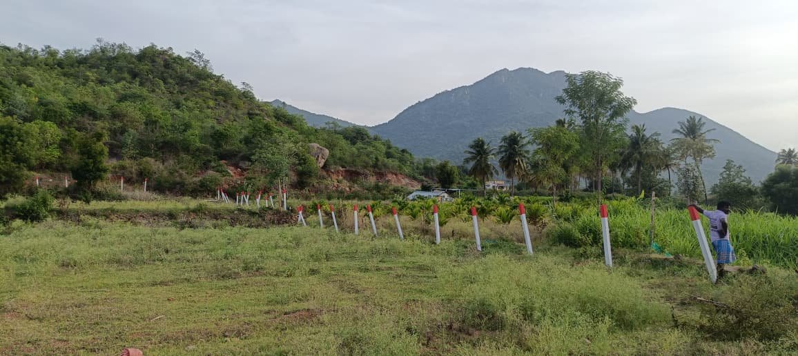 Farm fencing by fencing contractors in Chennai