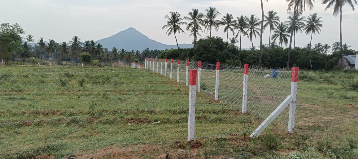 Plantation boundary fencing, Chennai
